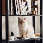 Smart Indoor Pet Camera with Night Vision