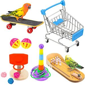 10 Fun Bird Training Toys for Parrots and Parakeets
