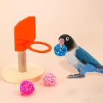 10 Fun Bird Training Toys for Parrots and Parakeets