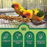 Fresh Sun-Dried Millet for All Pet Birds