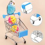 10 Fun Bird Training Toys for Parrots and Parakeets