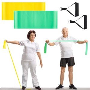 Relaxgiant 2 Pcs Resistance Band with Handles Chair Exercise Physical Therapy Band for Seniors Citizen Gifts Elderly Women Therapy, Stretch, Recovery, Home Exercise(Yellow,Green)