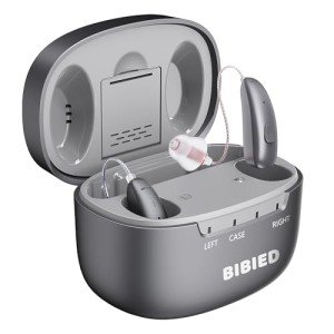 Rechargeable Hearing Aids with Smart Noise Reduction