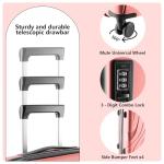 Felamondo 20-inch Pink Carry-On with Spinner Wheels