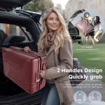 ALPHA CAMP 20-Inch Carry-On Luggage with USB Port