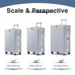 20-Inch Silver Hardside Luggage with Spinner Wheels