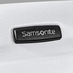 Samsonite Omni PC 20-Inch Hardside Spinner Carry-On