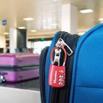 TSA Approved Combination Luggage Lock by Master Lock