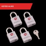TSA Approved Brass Luggage Locks - 4 Pack