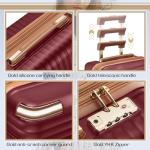 Joyway 20 Inch Expandable Carry-On Luggage Set