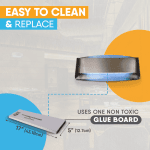 iFly Accent Trap - White Single Luggage