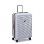 Delsey Paris 24" Expandable Spinner Luggage, Platinum