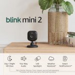 Blink Mini 2 Home Security & Pet Camera – Black