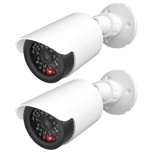 WALI Dummy Fake CCTV Camera - 2 Pack