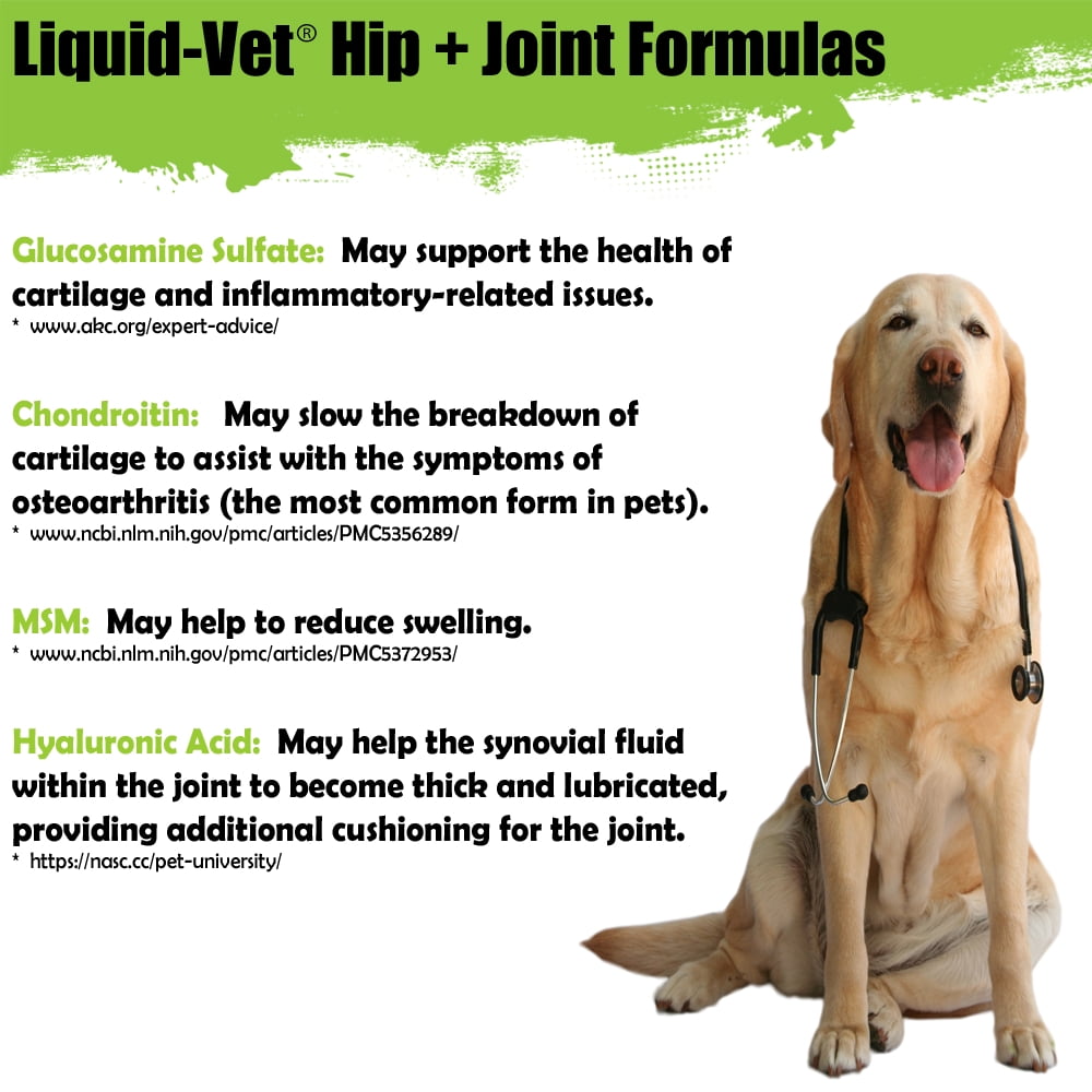 Liquid-Vet Hip & Joint Supplement for Dogs - 16 oz