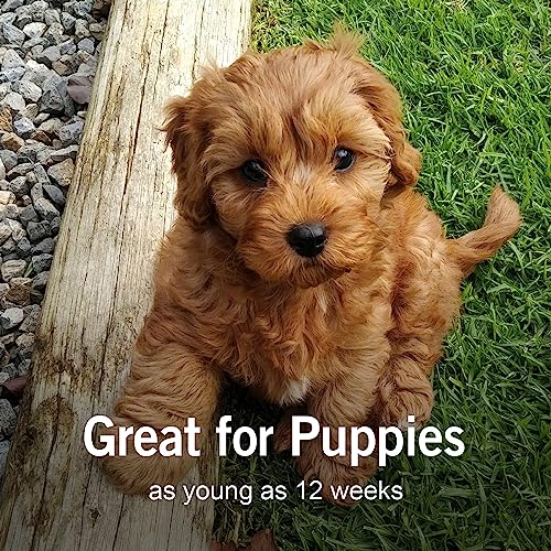 Reptisun® 5.0 UVB Compact Fluorescent Light