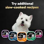 Cesar Poultry Lovers Wet Dog Food Variety Pack