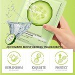 6 PCS Hydrating Cucumber & Collagen Face Masks
