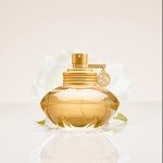 S by Shakira for Women - Long Lasting Fragrance