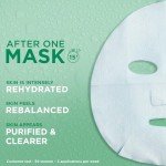 Garnier Green Tea & Hyaluronic Acid Sheet Mask