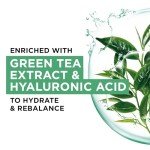 Garnier Green Tea & Hyaluronic Acid Sheet Mask