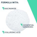 CeraVe Foaming Cleanser with Niacinamide for Oily Skin