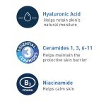CeraVe Foaming Cleanser for Normal to Oily Skin