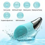 SONGQEE Waterproof Sonic Facial Cleansing Brush