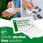 HypaClean Alcohol-Free Wound Cleansing Wipes, 100 Pack
