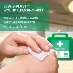 Lewis-Plast Alcohol-Free Antiseptic Wipes - Box of 100