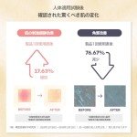 Papa Recipe Honey Mask Sheets - Deep Moisturizing 10 Pack