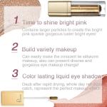 Metallic Glitter Eyeshadow with Gold Eyeliner Pen