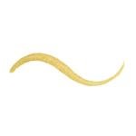 Rimmel London Ink Me Golden Gang Eye Liner