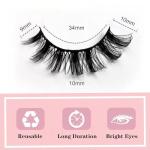 Natural Look Russian Strip False Eyelashes - 10 Pairs