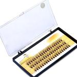 60pcs Natural Cluster Lashes for Pro Makeup