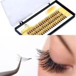 60pcs Natural Cluster Lashes for Pro Makeup