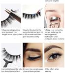 3D Faux Mink False Eyelashes - 5 Pairs