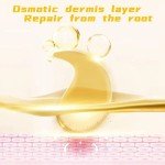 Gold Collagen Eye Mask Pads - 21 Pairs