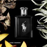 Ralph Lauren Polo Black 75ml Eau de Toilette