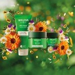 Weleda Skin Food Night Cream for Dry Skin
