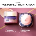 L’Oréal Paris Age Perfect Night Cream for Radiance