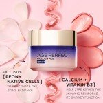 L’Oréal Paris Age Perfect Night Cream for Radiance