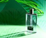 Police Men’s Eau de Toilette - 100 ml