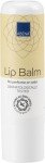 Abena Chapstick Lip Balm - 5g Fragrance-Free Moisturizer