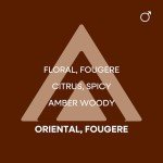 COLOUR ME Gold Homme 100ml Men's Perfume