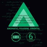 Victor No 9 Luxury Eau de Parfum for Men