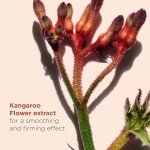 Clarins Total Eye Smooth Anti-Aging Cream 15ml