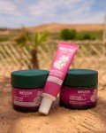 Weleda Wild Rose Eye Cream for Dark Circles