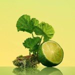 CALVIN KLEIN Eternity Eau de Toilette for Men