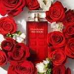 Elizabeth Arden Red Door 100ml Floral Woody Fragrance